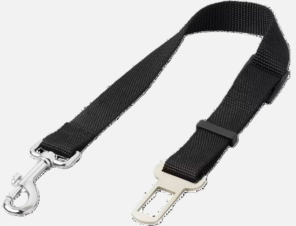 Laisse de sécurité pour chien