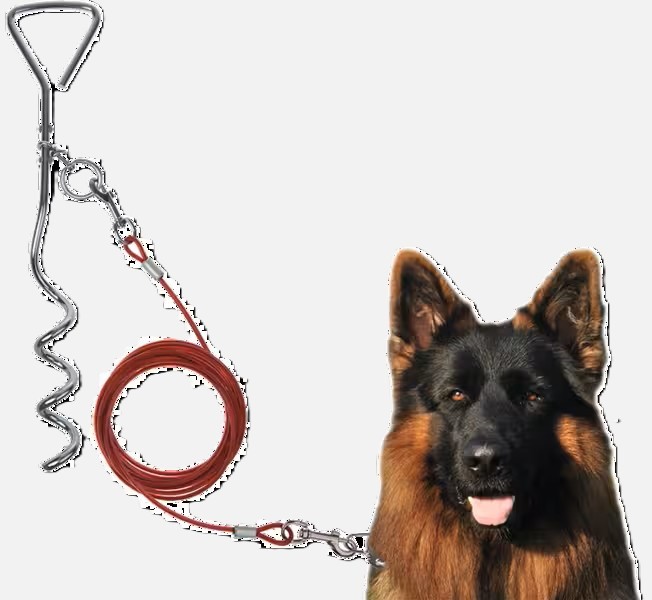 Spirale d’attache pour chien